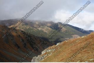 Photo Reference of Background Nature 0054